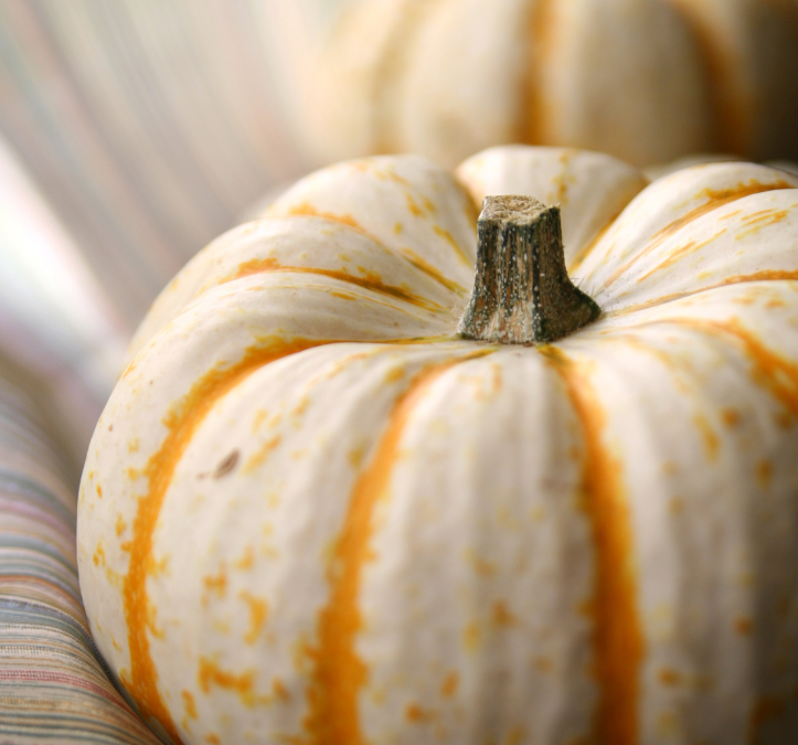 Descubre los Beneficios de Nuestras Calabazas Frescas y Naturales